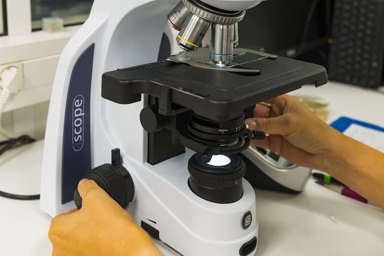Laboratoires des Pyrénées et des Landes (LPL) - Études scientifiques